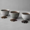 Guatemala, Honduras, Costa Rica : trois terroirs d'Amérique centrale à explorer