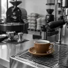 Maîtriser la température idéale pour extraire le café : du grain à la tasse professionnelle