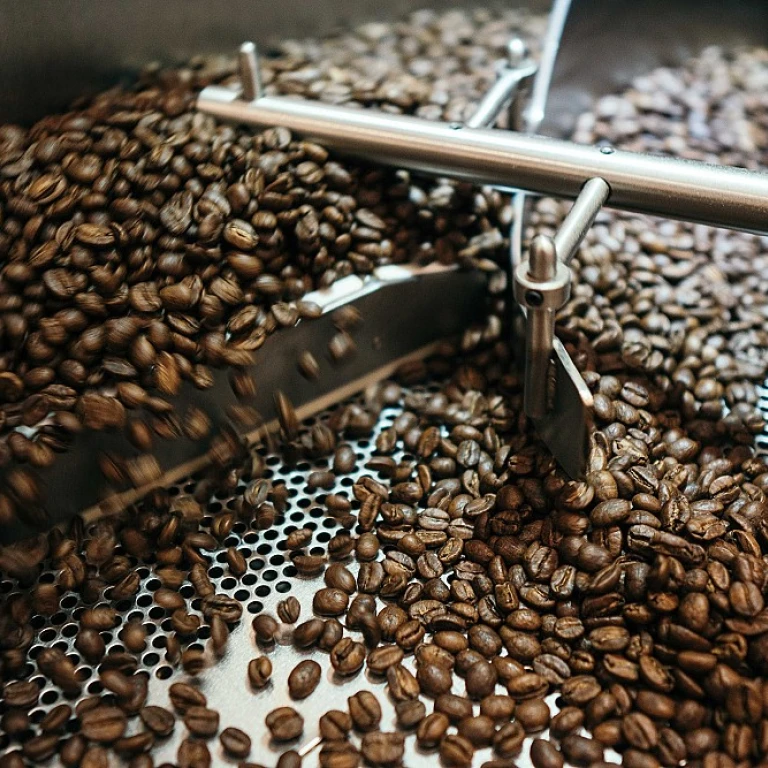 Les secrets des capsules Nespresso pour les professionnels du café