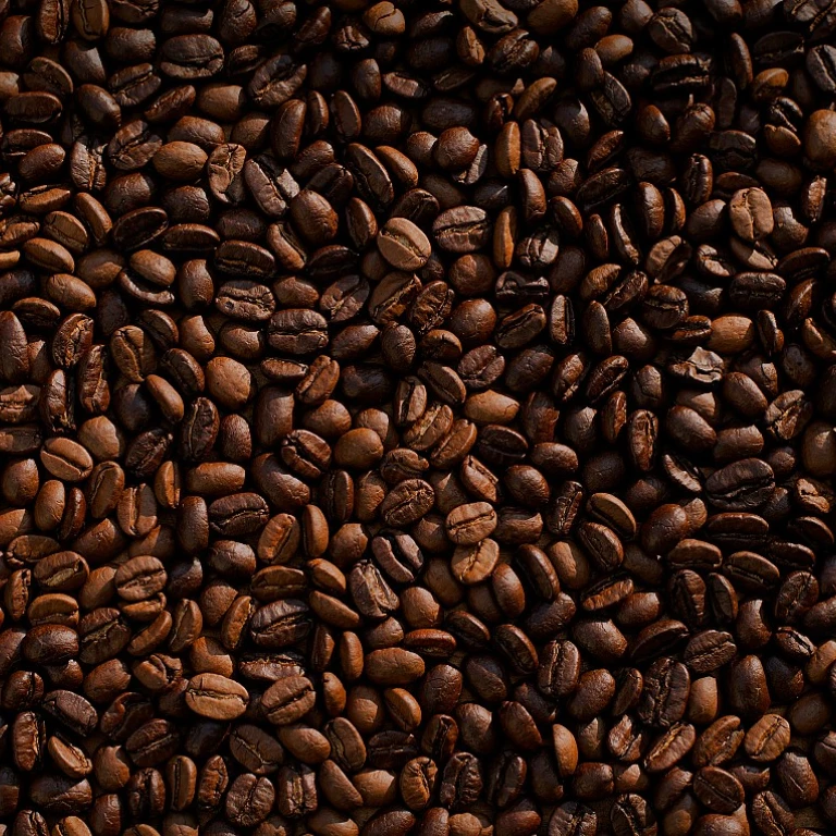 Les secrets du café Blue Mountain : un trésor jamaïcain pour les professionnels