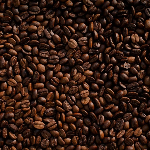 Les secrets du café Blue Mountain : un trésor jamaïcain pour les professionnels