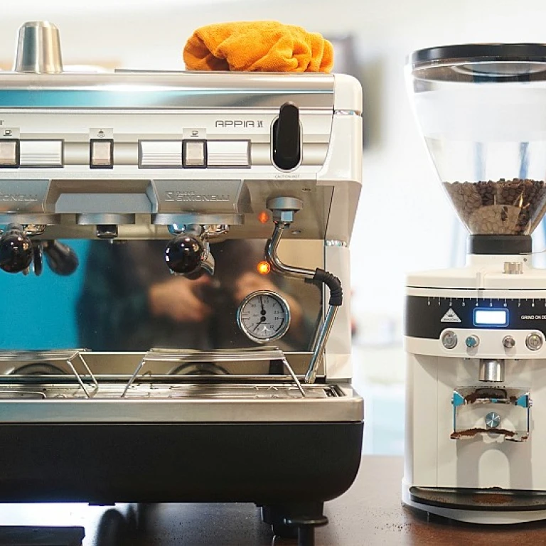 Comprendre les différences entre café arabica et robusta pour les professionnels