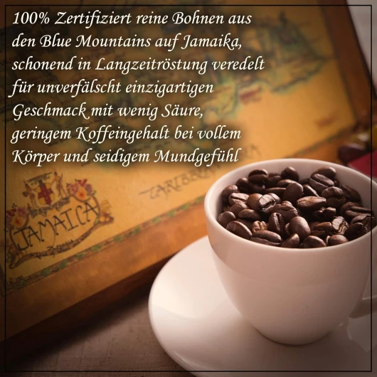 81ulMbixLpL._AC_SL1500_