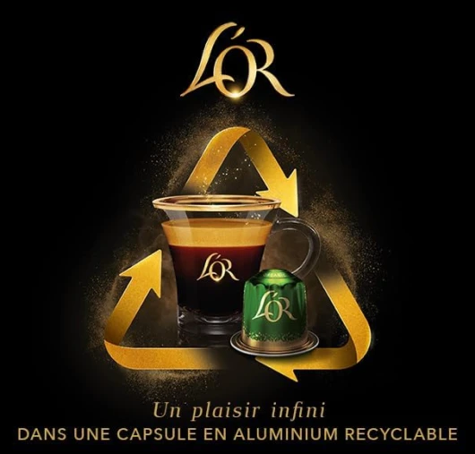 51oqca1szBL._AC_