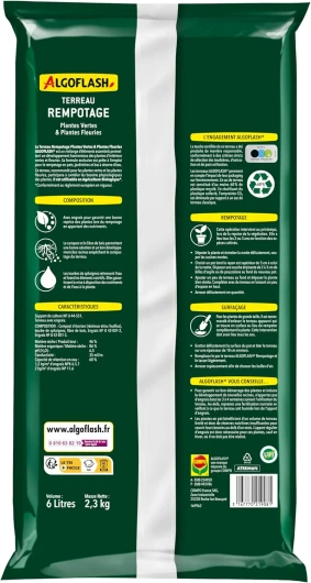 81TYUVw5v8L._AC_SL1500_