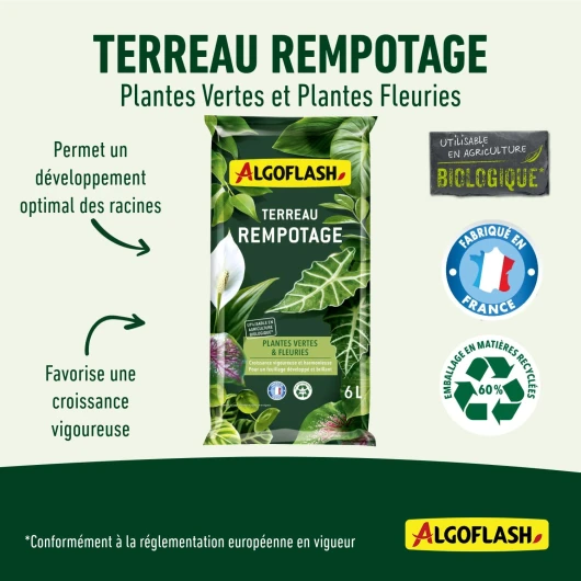 71XTy0VE2qL._AC_SL1500_