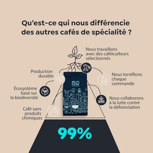 81713rPHLxL._AC_SL1500_