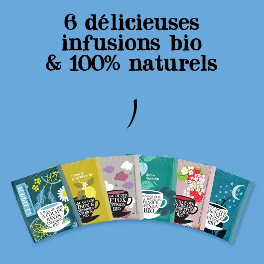 81KqX2cu3jL._AC_SL1500_