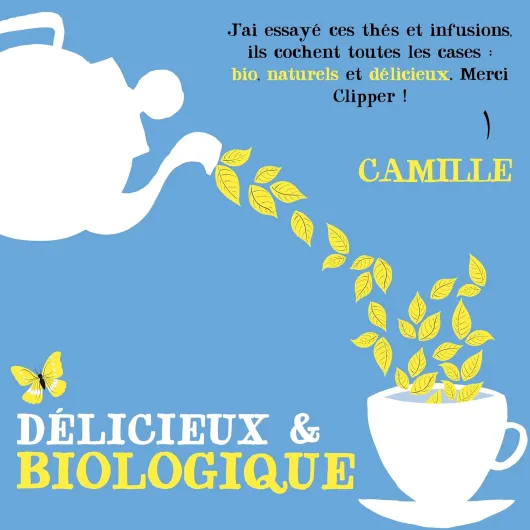 71v8pAcR HL._AC_SL1500_