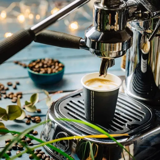 71tJWDrRzCL._AC_SL1000_