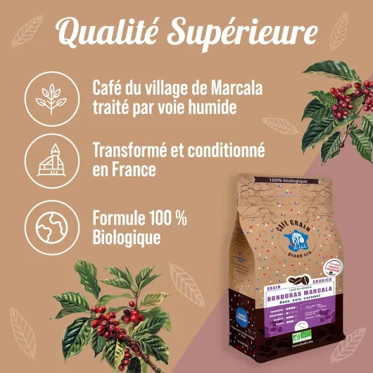 81xs9HsFYFL._AC_SL1500_