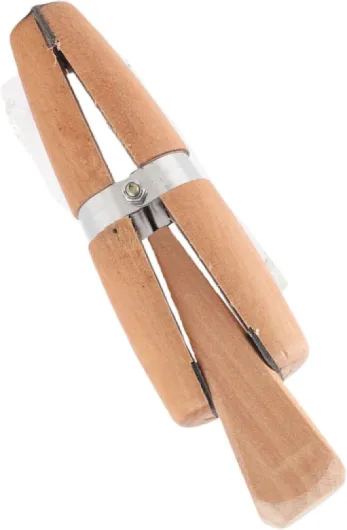 61wbWusgoyL._AC_SL1500_