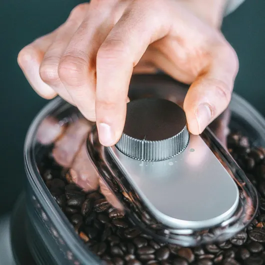 81ABh79h7YL._AC_SL1500_