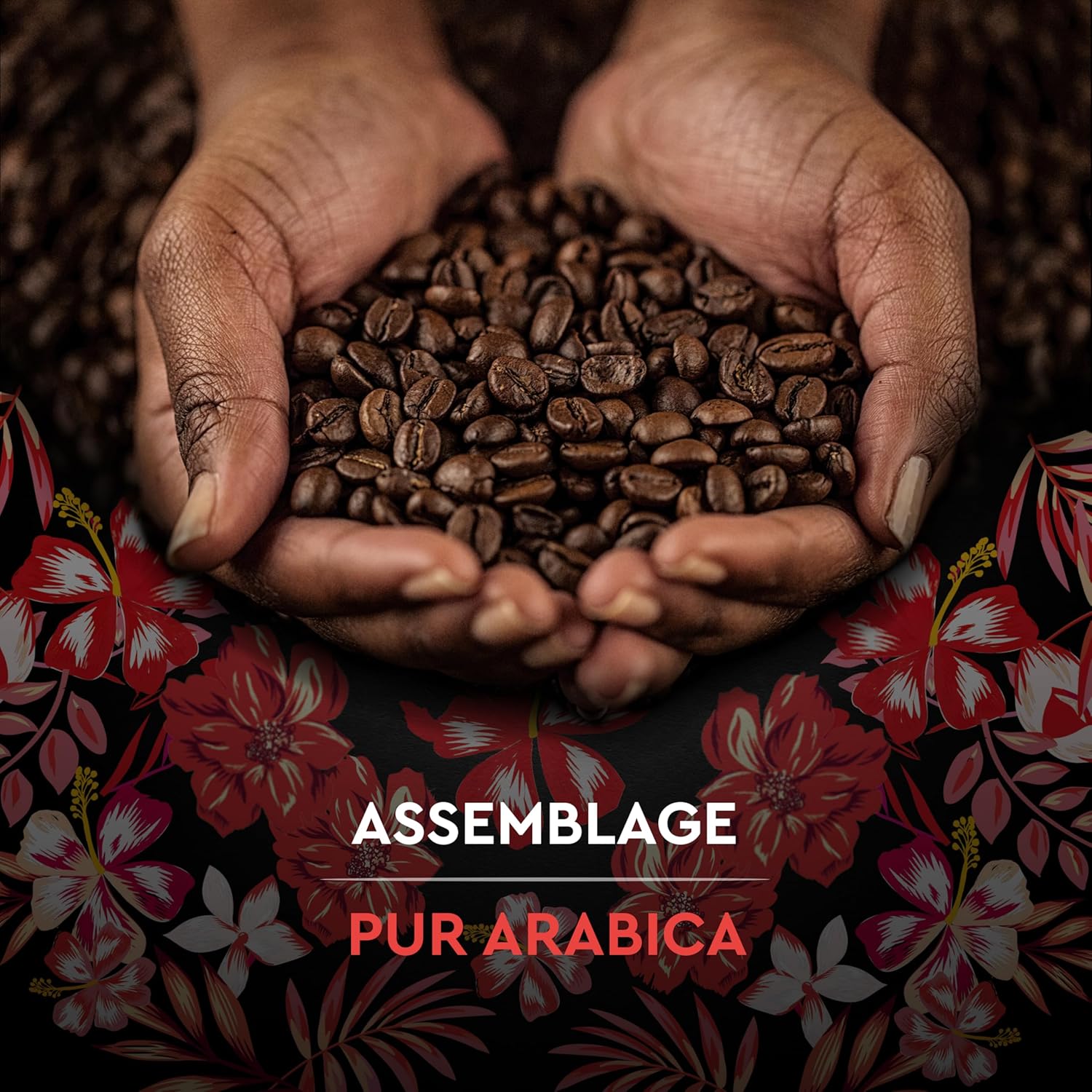 Café moulu pur arabica, délicat & fleuri, bio - Le paquet de 250g 250 g (Lot de 1) Honduras - 250 G