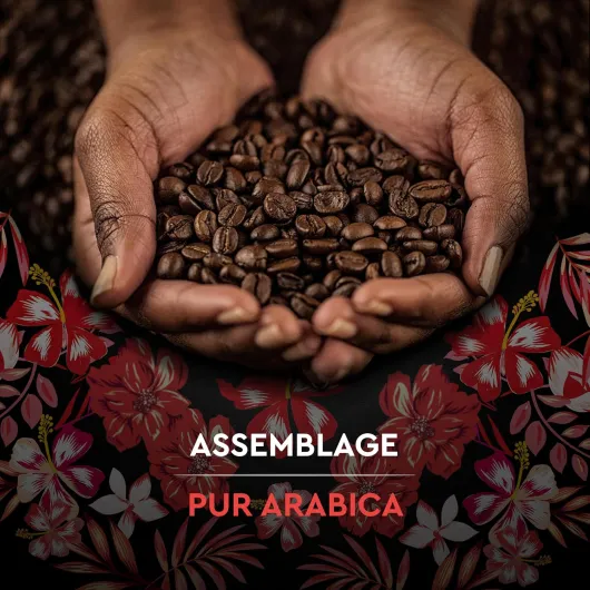 Café moulu pur arabica, délicat & fleuri, bio - Le paquet de 250g 250 g (Lot de 1) Honduras - 250 G