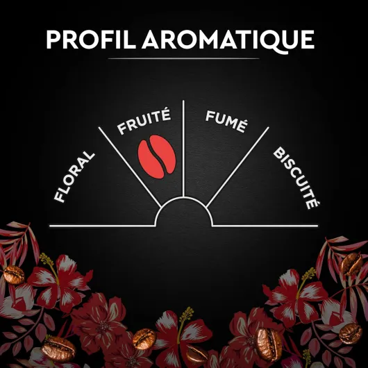 81M8-906PHL._AC_SL1500_