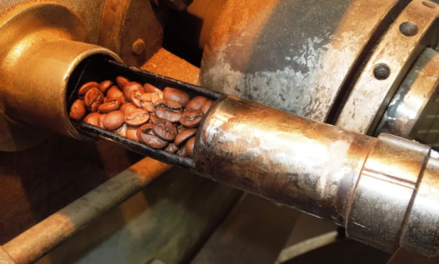 91yecXX04cL._AC_SL1500_