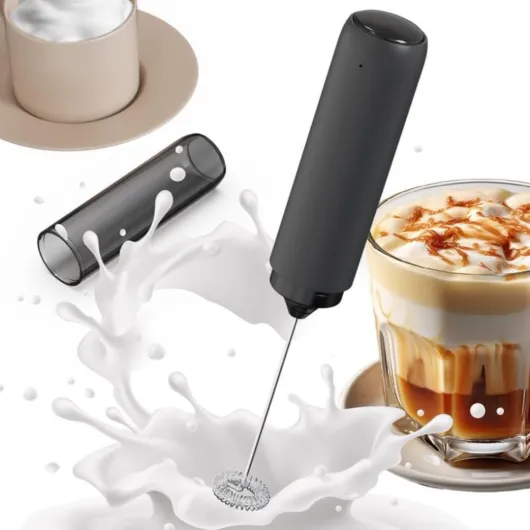 Mousseur à lait électrique rechargeable en acier inoxydable avec couvercle pour mélanger les œufs de café Noir