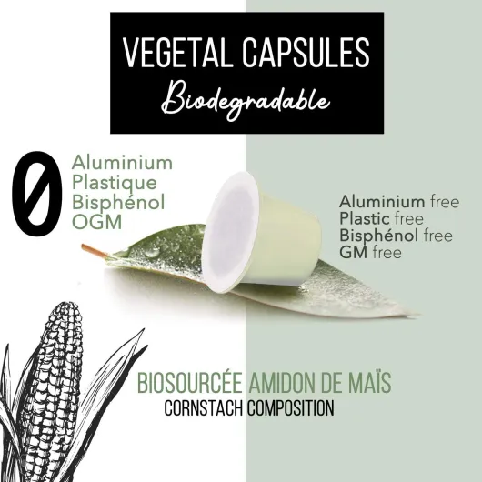 71c5hXPDUGL._AC_SL1500_