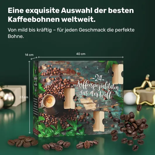 81tWZVBJgtL._AC_SL1500_