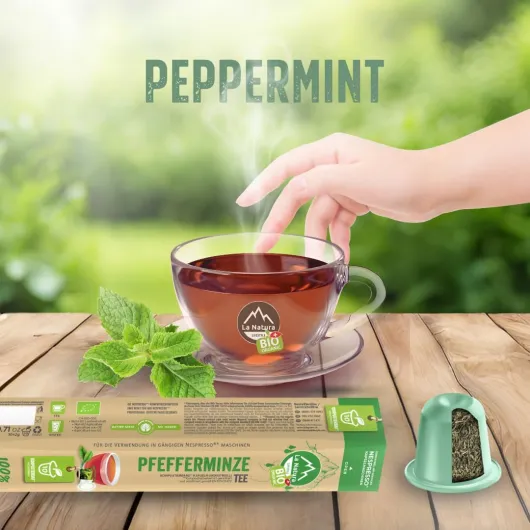 61H2WhqrEcL._AC_SL1080_