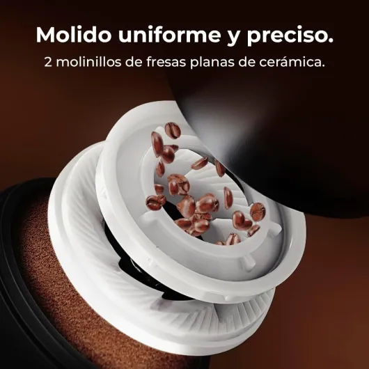 61ngfhcv0IL._AC_SL1200_