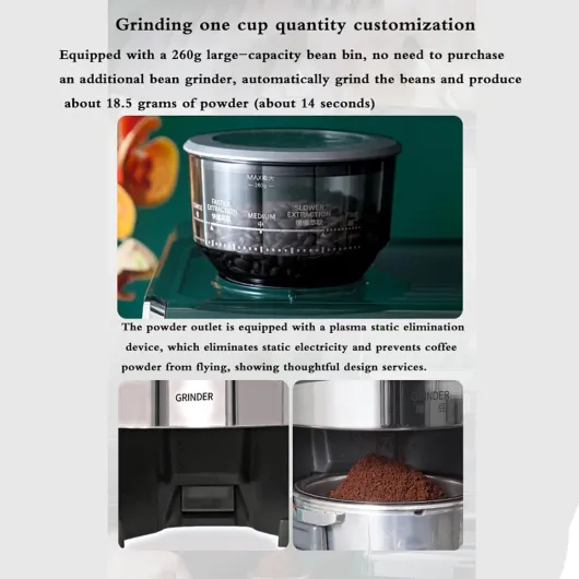 61IgW-oN0SL._AC_SL1500_