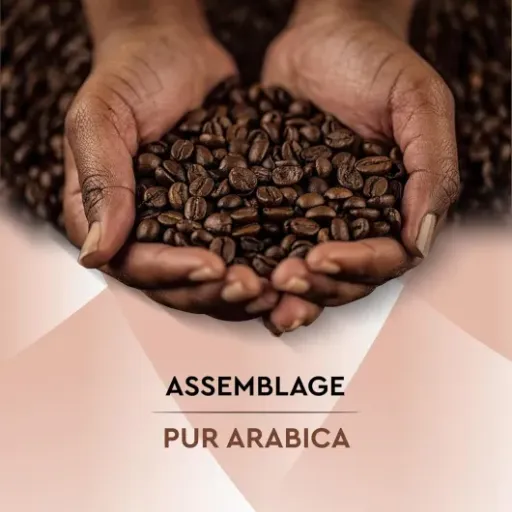 Test Carte Noire Douceur Intense : le café filtre tranquille pour tous les jours