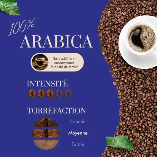 71WwsWPLTGL._AC_SL1500_