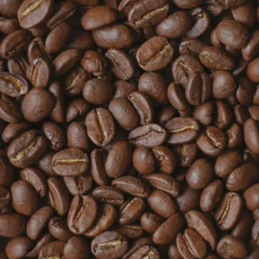 CAFÉS FOLLIET - Café En Grains Bio - Pure Origine Guatemala - Récolte des sommets - Torréfaction Artisanale - Notes de noisettes grillées & fruitées - Intensité 6/10-100% Arabica - 250 g