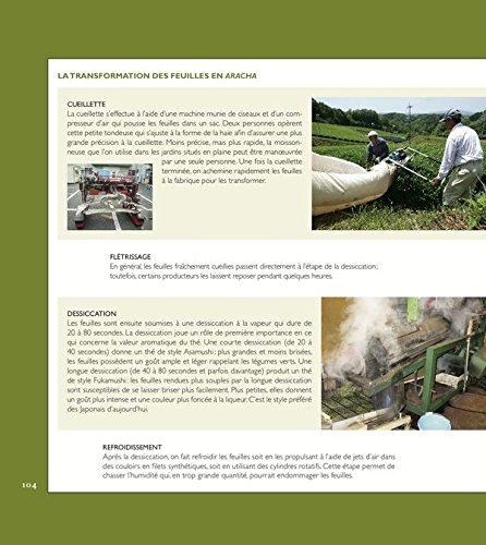 Thé - Histoire terroirs saveurs: Histoire Terroirs Saveurs