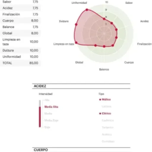 Test Quality Roasters Coffees Kenya : un café de spécialité correct mais loin d’être mémorable