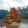 Après des mois de baisse, l'arabica repart en flèche : pluies record au Brésil et menace El Niño