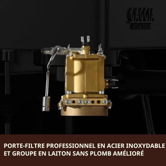 Gaggia Classic Evo INOX RI9481/11 Acier Inoxydable