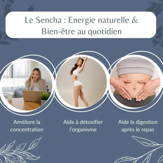 Thé Vert Sencha de Chine Bio - Thé Vegan en Vrac, 100% Naturel, Sans OGM - Agriculture Biologique - Conditionné en France - Sachet 1 kg (500 Tasses) 1KG (500 tasses)