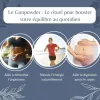Test Thé Vert Gunpowder Bio Obvious Tea : le gros sachet pour boire du thé sans se ruiner