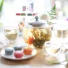 Test Teabloom Classica 1,2 L : la théière en verre qui fait le job sans prise de tête