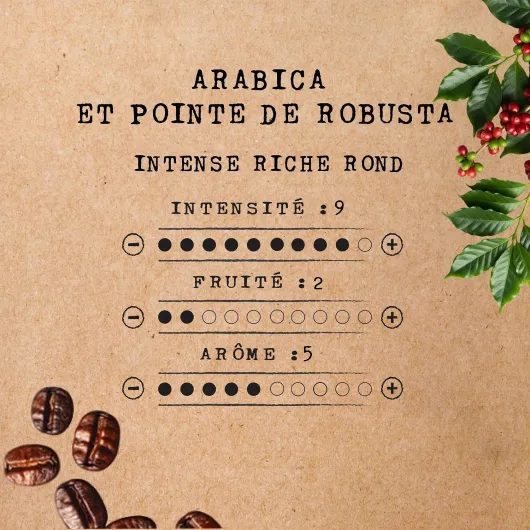 Cafés Méo - Café en Grains Espresso - 6 kg - Intensité 9/10 - Arômes Authentiques et Aromatique - Lot de 6 x 1 kg